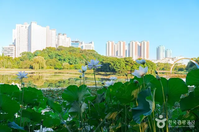 일산호수 사진