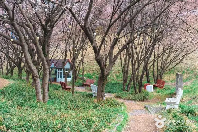 설봉공원 사진