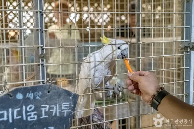 애니멀스토리 사진