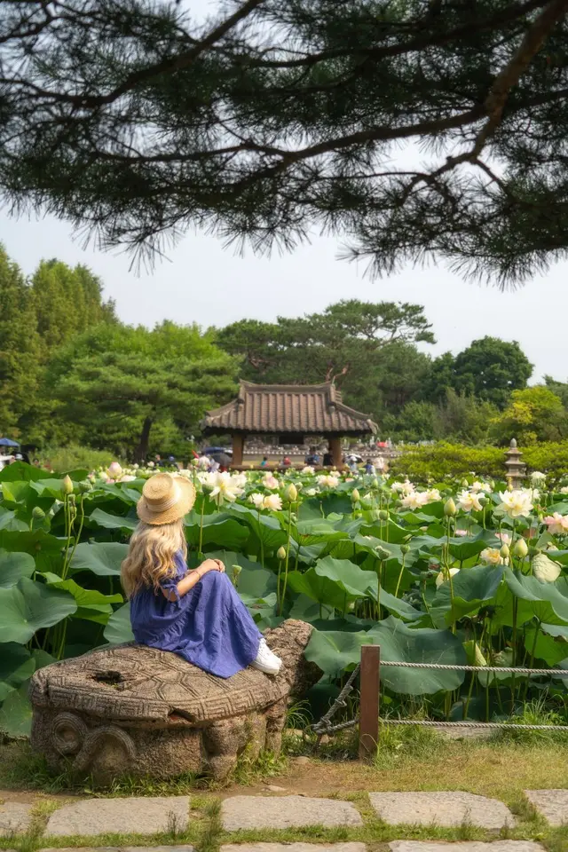 세미원 사진