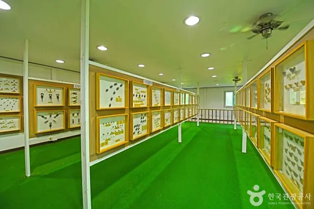 수안보곤충박물관 사진