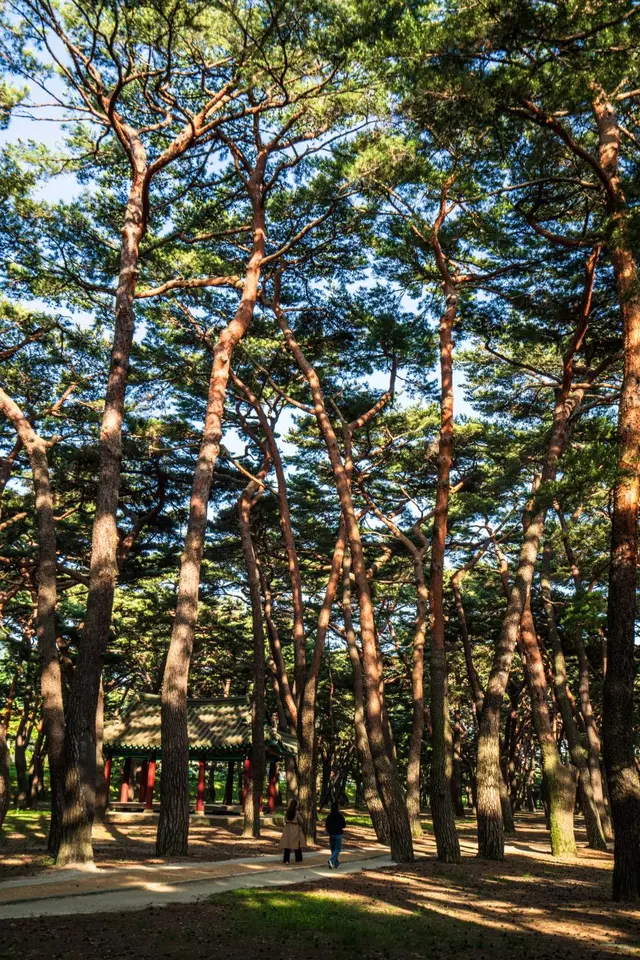 하동송림공원 사진