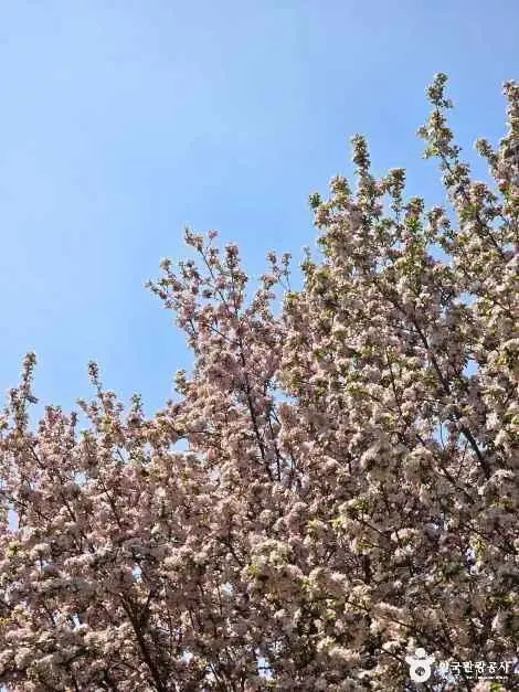 아산문화공원 사진