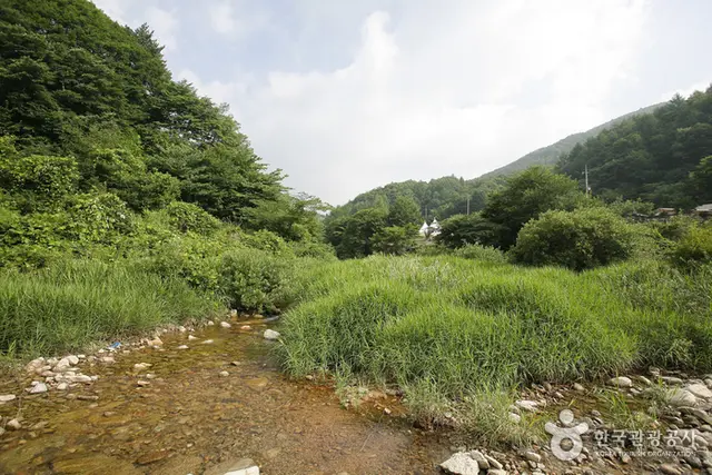 용추자연휴양림 사진