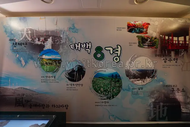 태백고생대자연사박물관 사진