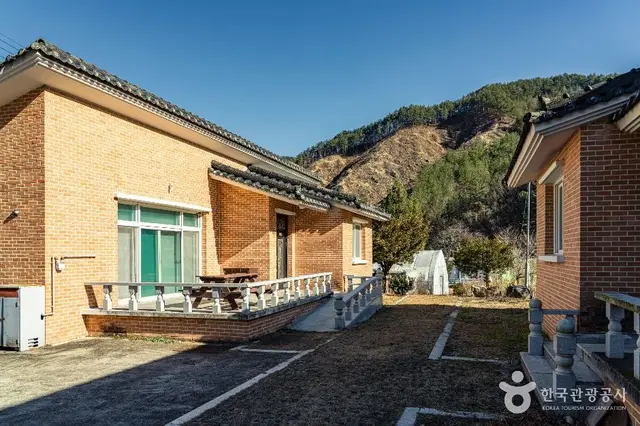삼척 가시오가피마을 사진