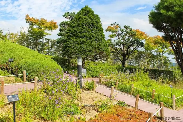 가야산 야생화식물원 사진