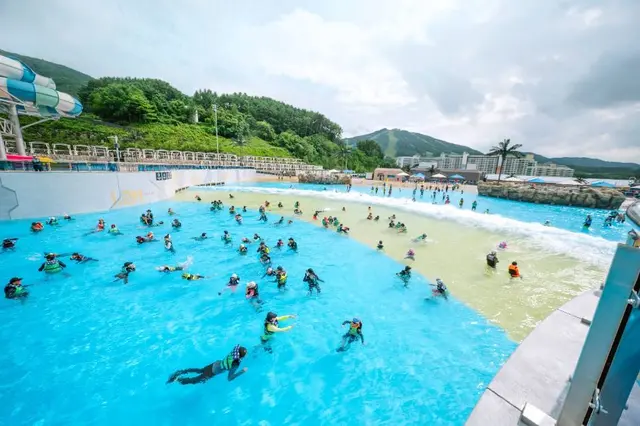 웰리힐리파크 워터플래닛 사진