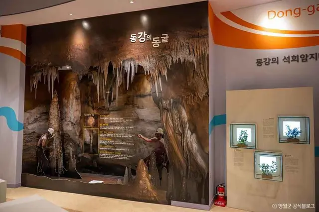 영월곤충박물관 사진