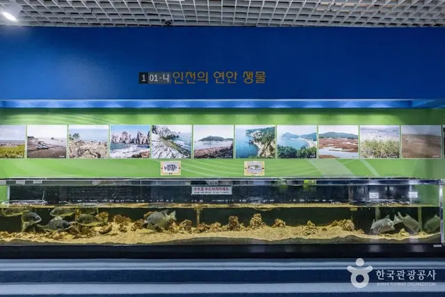 인천학생과학관 사진