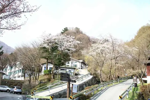 국립 지리산자연휴양림 사진