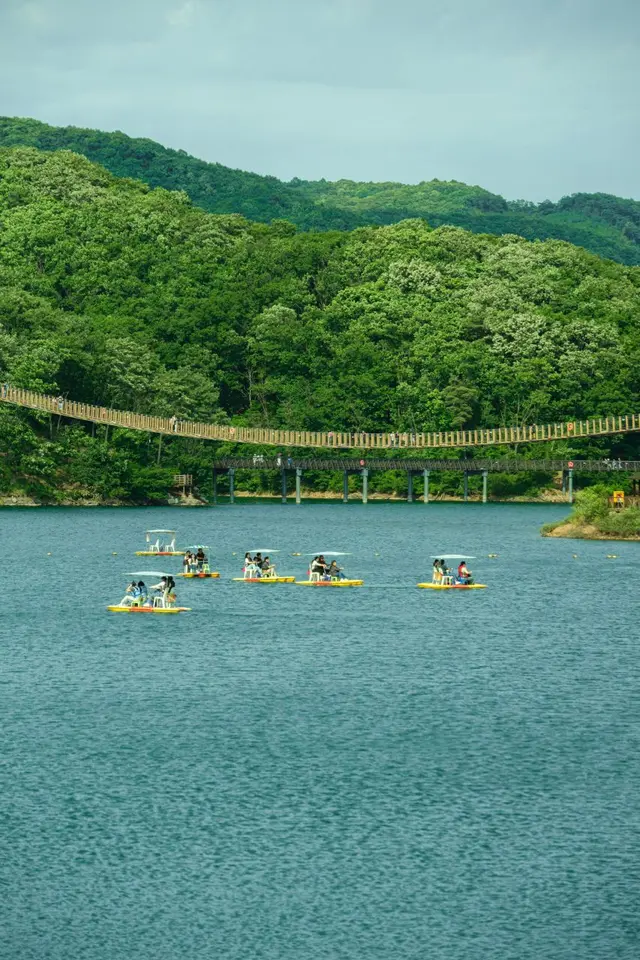 마장호수 출렁다리 사진