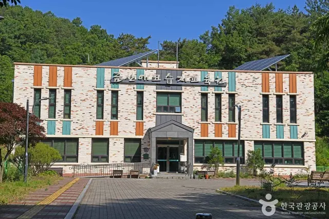 닥실마을 사진