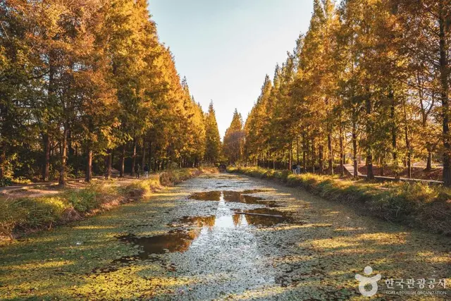 경북천년숲정원 사진