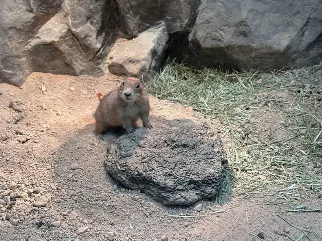 와글와글 동물원 사진