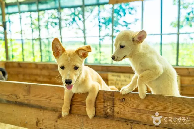 강릉생태체험박물관 자연아놀자 사진