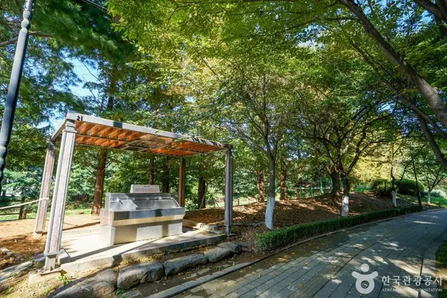고양 피크닉시민공원 사진