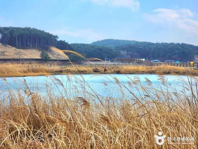 남대천연어생태공원 사진