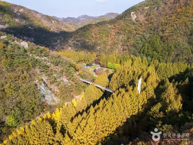 장태산자연휴양림 사진