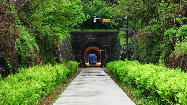 치악산 바람길숲 사진