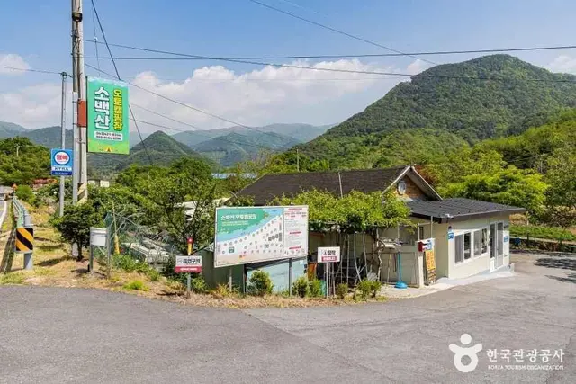 소백산오토캠핑장 사진