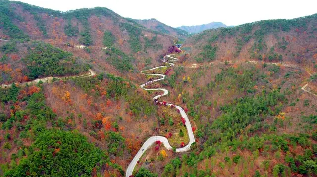국립속리산말티재자연휴양림 사진