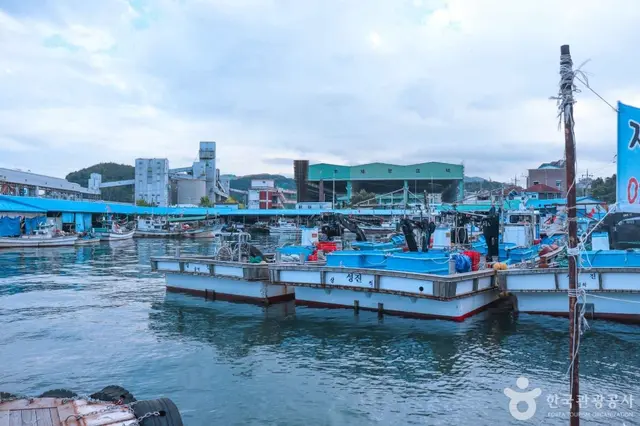 삼척항 사진