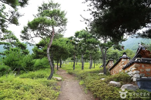동의보감촌한방자연휴양림 사진