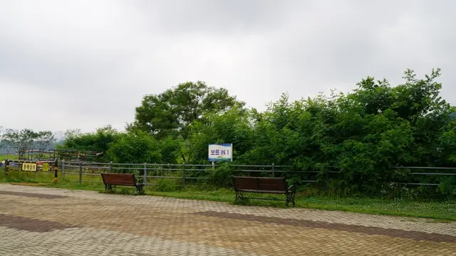 기흥호수공원 사진