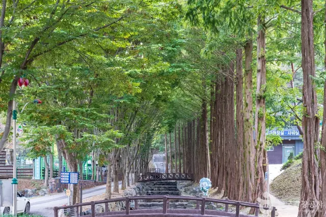 칠갑산자연휴양림 사진