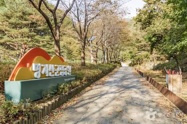 명지계곡 사진