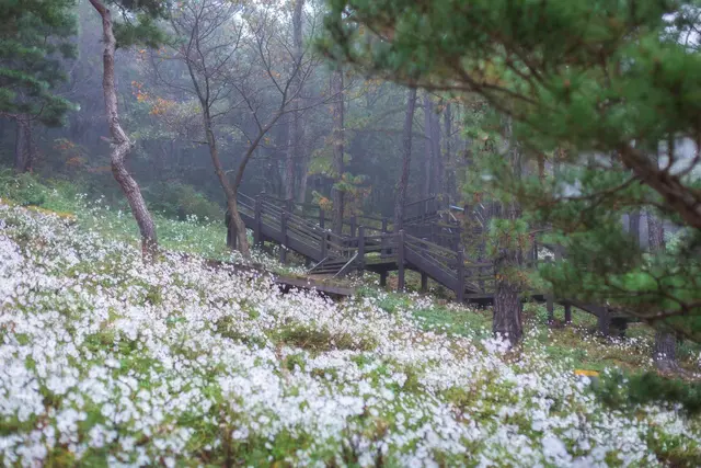 율곡수목원 사진