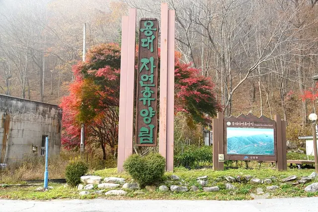 국립 용대자연휴양림 사진
