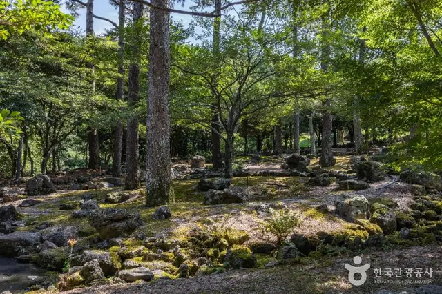 한라수목원 사진