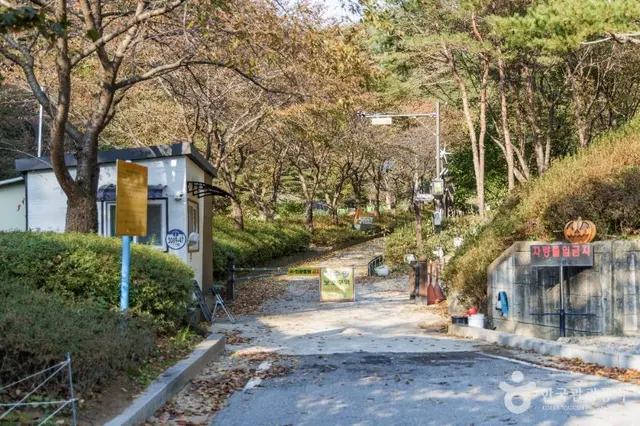 명지계곡 사진