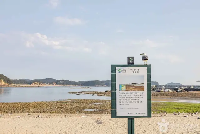 어은돌해수욕장 사진