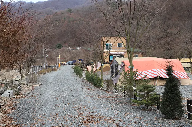횡성산울림오토캠핑장 사진