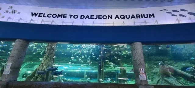 대전아쿠아리움 사진