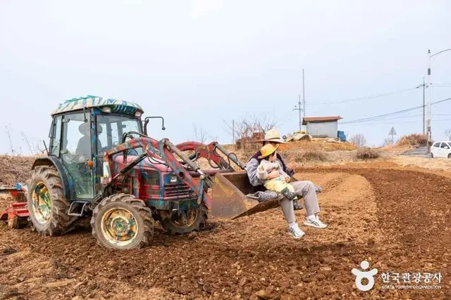 로렌츠감성치유시골체험 사진