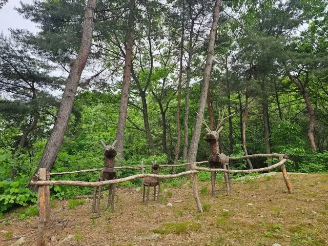 천보산 자연휴양림 사진