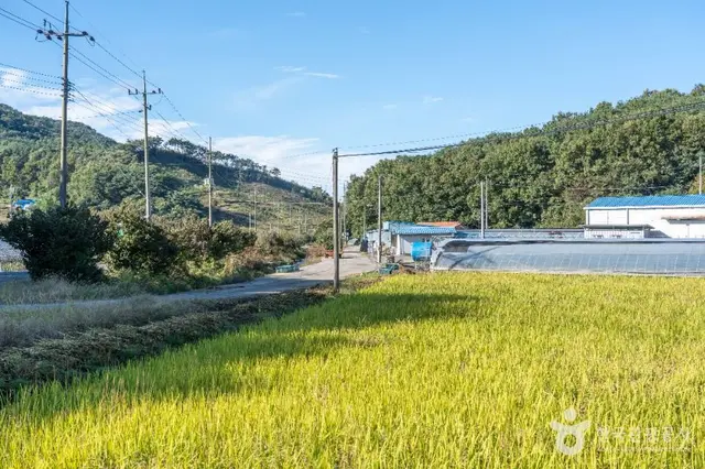 가파마을 사진