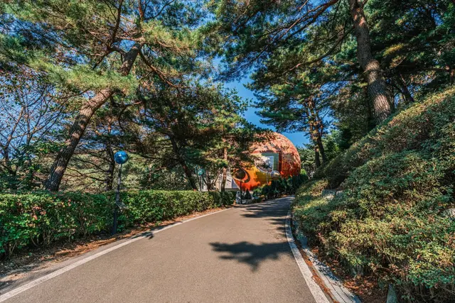 좌구산 자연휴양림 사진