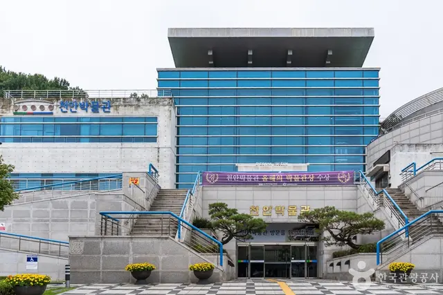 천안박물관 어린이박물관 사진