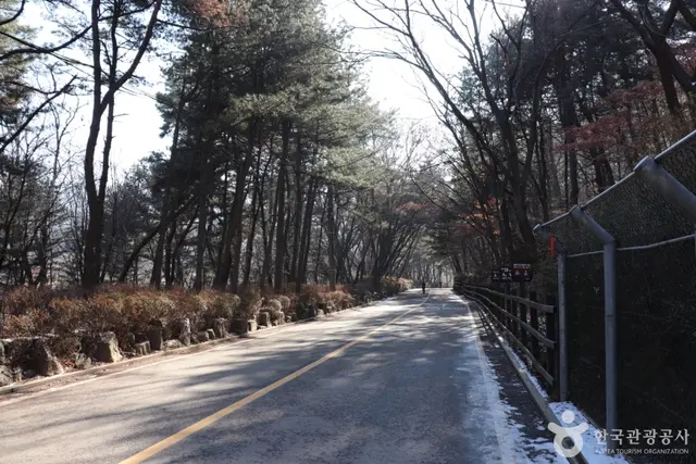 관악산자연공원 사진