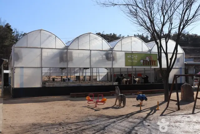 포니힐링관광농원 (힐링공유팜) 사진