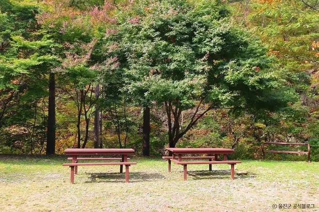 국립 통고산자연휴양림 사진