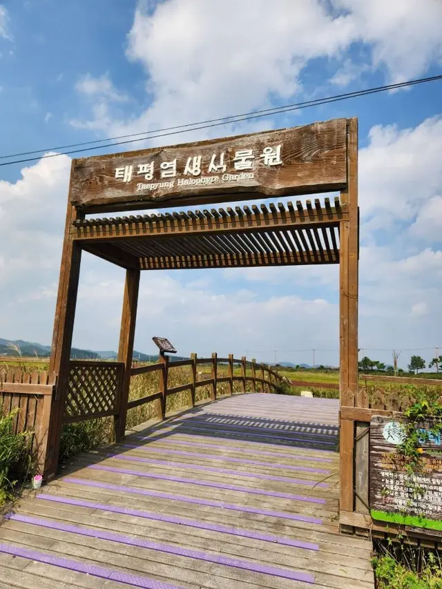 태평염생식물원 사진