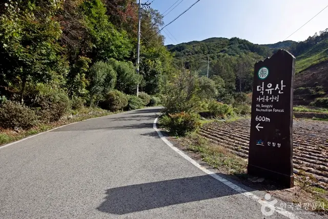 국립 덕유산자연휴양림 사진