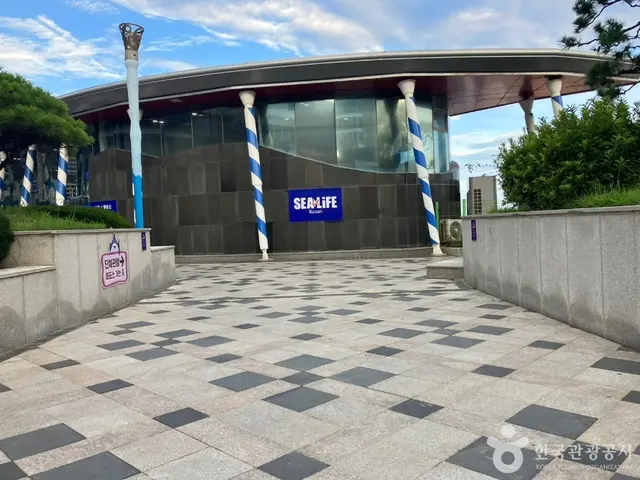 씨라이프부산아쿠아리움 사진