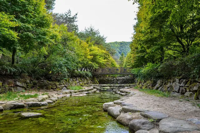 상소동 산림욕장 사진